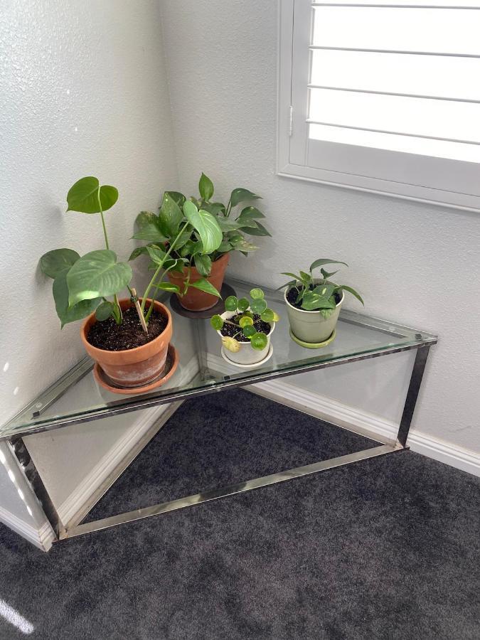לוס אנג'לס Private Room In La With Free Wifi And Tv With Shared Kitchen מראה חיצוני תמונה